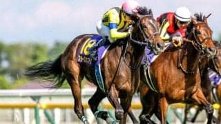 【ジャパンC予想】2強対決に波乱の余地も!? 距離適性が示す好走のポイント