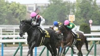 【京阪杯前日オッズ】ルガルが4.9倍で1番人気
