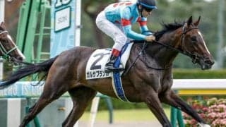 ジャパンC出走の兄にエールVなるか イクイノックスの半妹ガルサブランカが無傷2連勝狙う