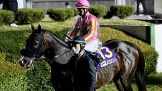 テイエムサウスダンが競走馬登録抹消