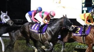 ダート重賞5勝馬テイエムサウスダンが抹消 今後は佐賀競馬に移籍