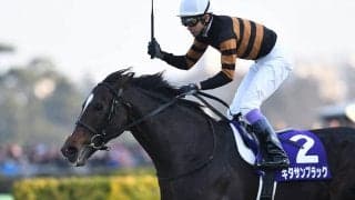 キタサンブラックの弟シュガークン「身のこなしや乗り心地はとてもいい」と高評価