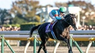 【ジャパンC予想】内枠に人気上位勢パターン発生で堅さ倍増？ 過去10年データで読み解くジャパンC