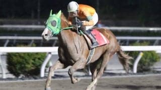 【高知・土佐寒蘭特別】ワンウォリアーが連勝…岡村「長距離が向くと感じた」