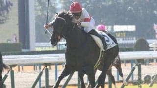 【京都6R新馬戦結果】スワーヴリチャード産駒サブマリーナが新馬勝ち