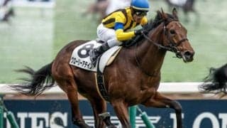 【東京6R新馬戦結果】ヴィクトワールピサ産駒グローリーアテインが競り合いを制す