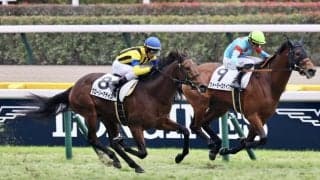 【新馬/東京6R】ヴィクトワールピサ産駒 グローリーアテインがデビューV