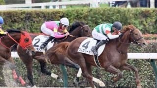 【新馬/東京5R】マーカンド騎乗、ブレスワードが鮮やかに差し切る