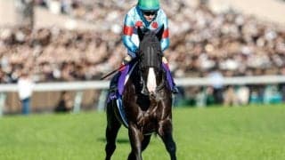 【ジャパンC・馬体重】イクイノックスは498kg(+4)、リバティアイランドは470kg(-6)