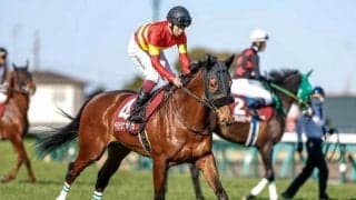 【チャレンジC】ベラジオオペラ、ボッケリーニらが登録