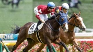 【阪神JF】ボンドガールやコラソンビートらが登録