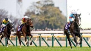 粗品氏113万円ゲット「競馬ちょろいわ」 ジャパンCで3連単的中