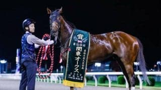 【船橋・クイーン賞枠順】パライバトルマリンは3枠3番、テリオスベルは8枠11番