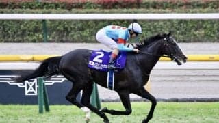 【ジャパンカップ】世界最強イクイノックスのジョッキーカメラが公開…ルメール騎手スタートで驚く