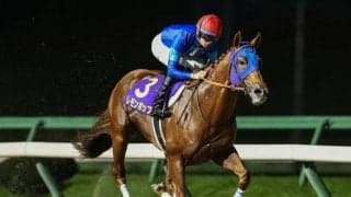 ダート王決定戦チャンピオンズC、長丁場のステイヤーズSなど/今週の競馬界の見どころ