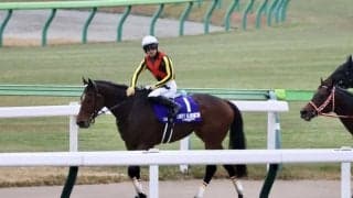 【ジャパンカップ】川田「全力で挑ませていただきました」レース後ジョッキーコメント