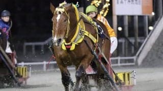 【ばんえい・ドリームエイジカップ】サクラヒメが重賞5勝目…渡来「思った通りの展開」