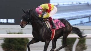 【高知競馬】倉兼育康調教師が初勝利…「チャンスだと思っていた」