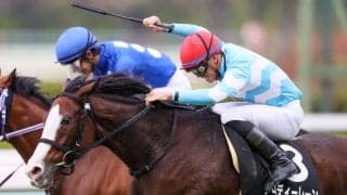 【ステイヤーズS登録馬】メロディーレーンなど17頭