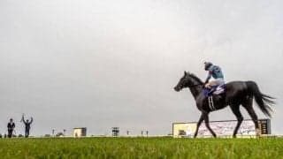 【ジャパンC】売上は260億5899万5600円で昨年より約48億円増加