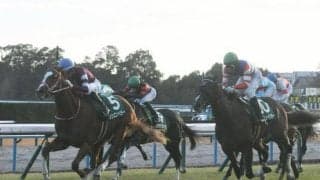 【京都2歳S】売上は37億2892万2300円で昨年より約1億円減少