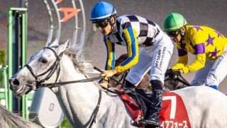 チャレンジC想定騎手13頭 ガイアフォースは西村淳也騎手、ボッケリーニはJ.モレイラ騎手など