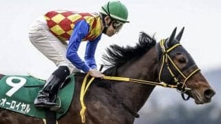 ステイヤーズS想定騎手17頭 テーオーロイヤルは浜中俊騎手、マイネルウィルトスは横山武史騎手など