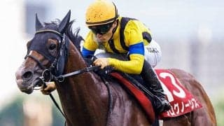 香港国際競走の馬券発売が決定 日本からは4競走に14頭が出走予定