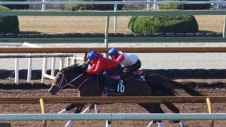 初戦7馬身差Vの叔母シュークリームに続くか モズパシュート阪神で初陣/関西馬メイクデビュー情報