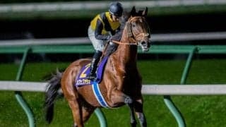 【先週のJRA抹消馬】GI/JpnI・3勝挙げたカフェファラオ、ダート重賞5勝のテイエムサウスダンなど