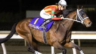 今秋のGIで6戦4勝 絶好調ルメール騎手がチャンピオンズC10年ぶりV狙う