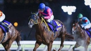 【AI予想・チャンピオンズC】ダート中距離王決定戦は確かな実績が必要不可欠な一戦!? 波乱を予感させる本命候補3頭