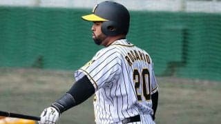 捕手復帰した“虎の大砲”が歴史的一打　大不振で帰国、台湾2か月で解雇の波乱人生