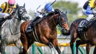 【ステイヤーズS展望】JRA最長距離の重賞、リピーターが幅を利かせる