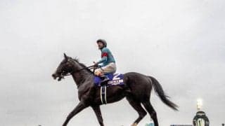 「失敗種牡馬」から評価一変 世界最強馬にも受け継がれるジャッジアンジェルーチの血