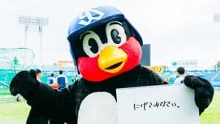 つば九郎の人生相談「何もかも放り投げて逃げたいときの対処法を教えてください」