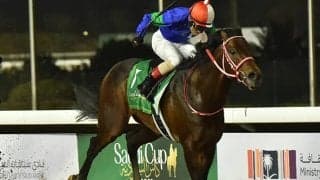 パンサラッサの種牡馬としての可能性は？ その最大の魅力に迫る