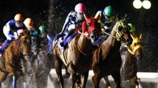 【船橋・船橋記念枠順】ティアラフォーカスは3枠3番、キモンルビーは4枠4番