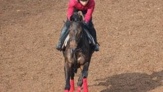 マーブルカテドラルの2021(マルモア)など、先週の入厩情報/栗東トレセンニュース