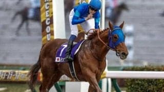 【チャンピオンズC予想オッズ】レモンポップが予想1番人気