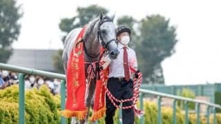 【チャレンジC予想オッズ】ガイアフォースが予想1番人気