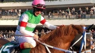 砂の新星は世界的良血馬 無傷で古馬混合GI制覇なら史上4頭目の快挙