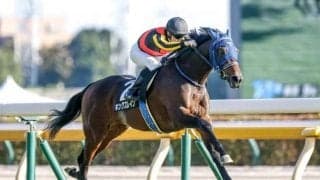 【ステイヤーズS予想オッズ】キングズレインが予想1番人気