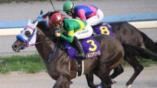 デビュー4年目の原優介騎手にチャンス！ 重賞3勝馬とチャンピオンズC制覇狙う