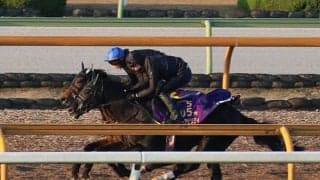 ルシフェル、阪神JF1週前追い切り速報/栗東トレセンニュース