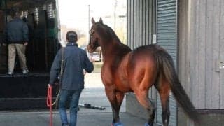 サトノダイヤモンドなど2頭が繋養地を移動