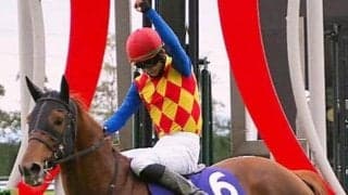 中京移転後は連覇なし チャンピオンズCで注意すべき馬番とは