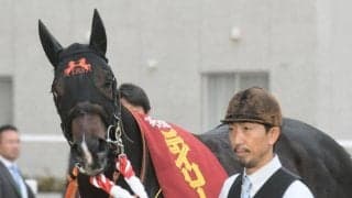 【朝日杯FS想定】ジャンタルマンタル、セットアップなど12頭