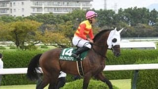 【チャンピオンズC予想】AIは中穴人気の重賞ウイナーを推奨 ポイントは生産者と前走内容