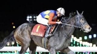 【クイーン賞】岩田望「すごく落ち着いていた」ライオットガールが重賞2勝目